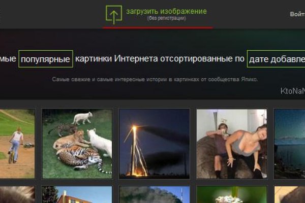 Кракен зеркало сайта