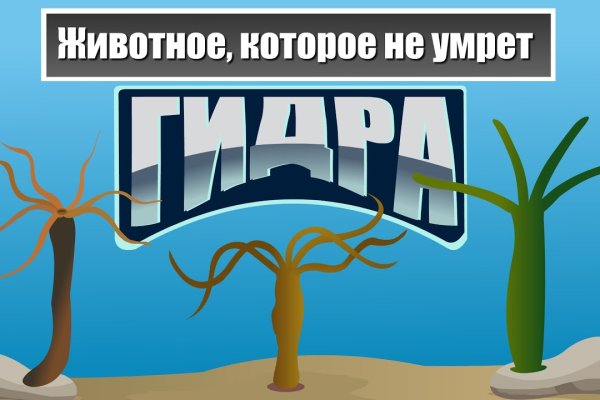 Hydra маркетплейс