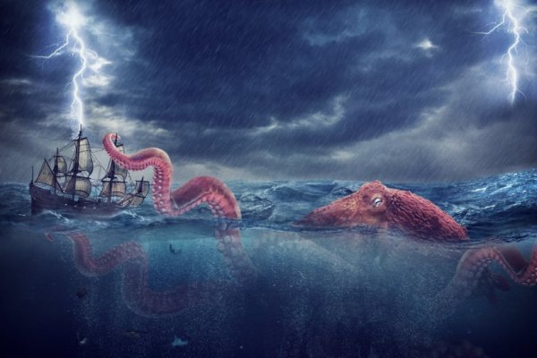 Kraken 13at