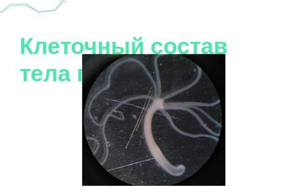 Кракен что можно купить