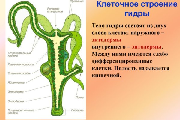 Кракен сайт kr2web