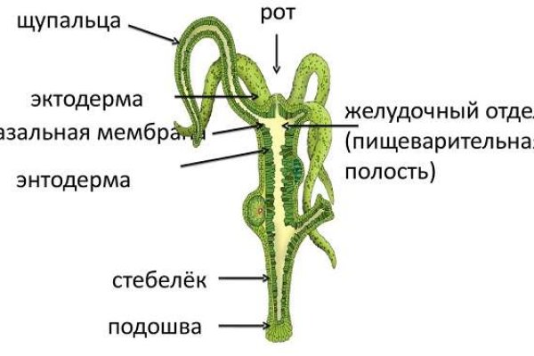 Действующие ссылки на кракен