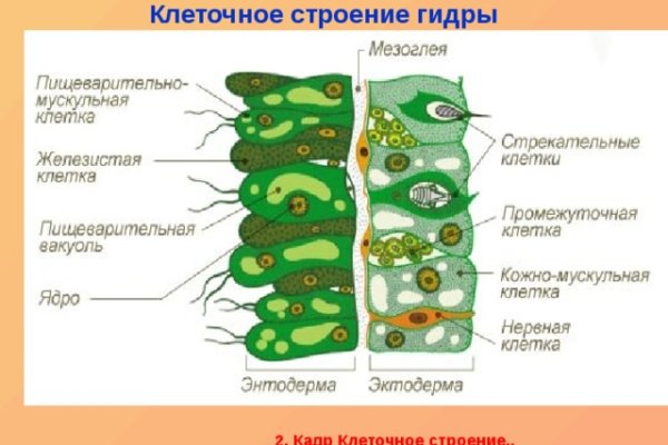 Kraken зеркало kraken dark link