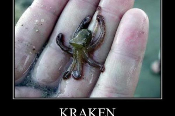 Kraken market