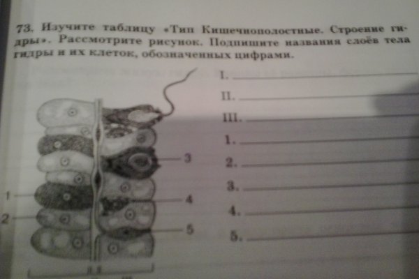 Кракен точка ат