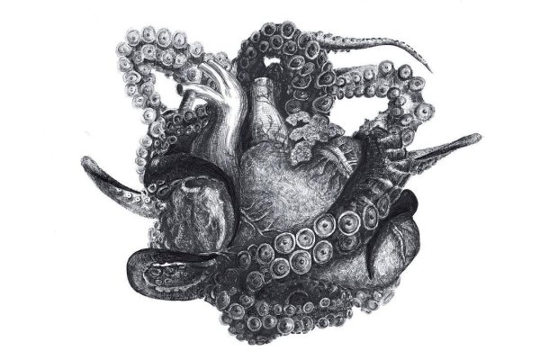 Kraken 12 at сайт
