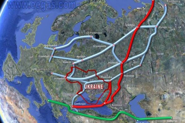 Как вывести деньги с kraken