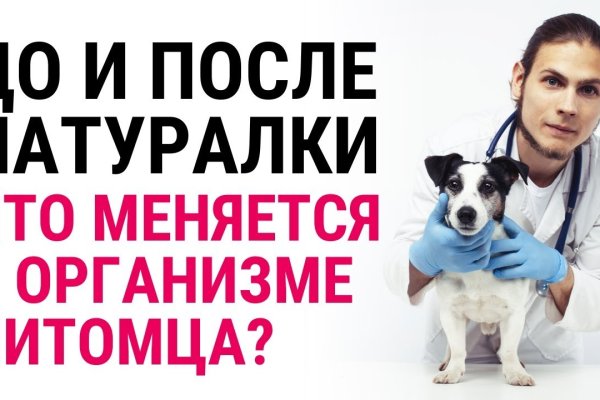 Кракен маркетплейс создатель